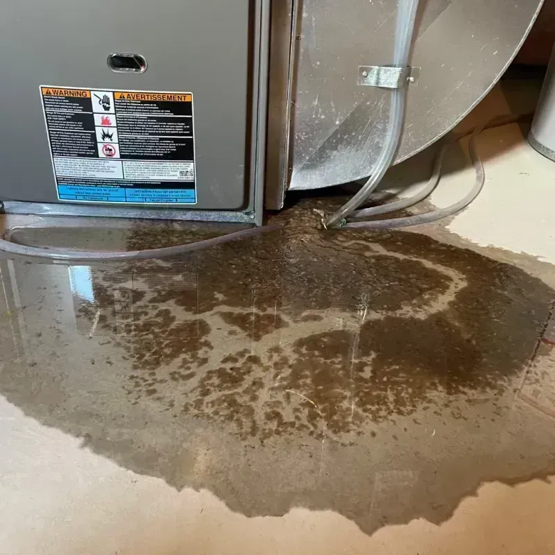 Appliance Leak Cleanup in Richland, MO